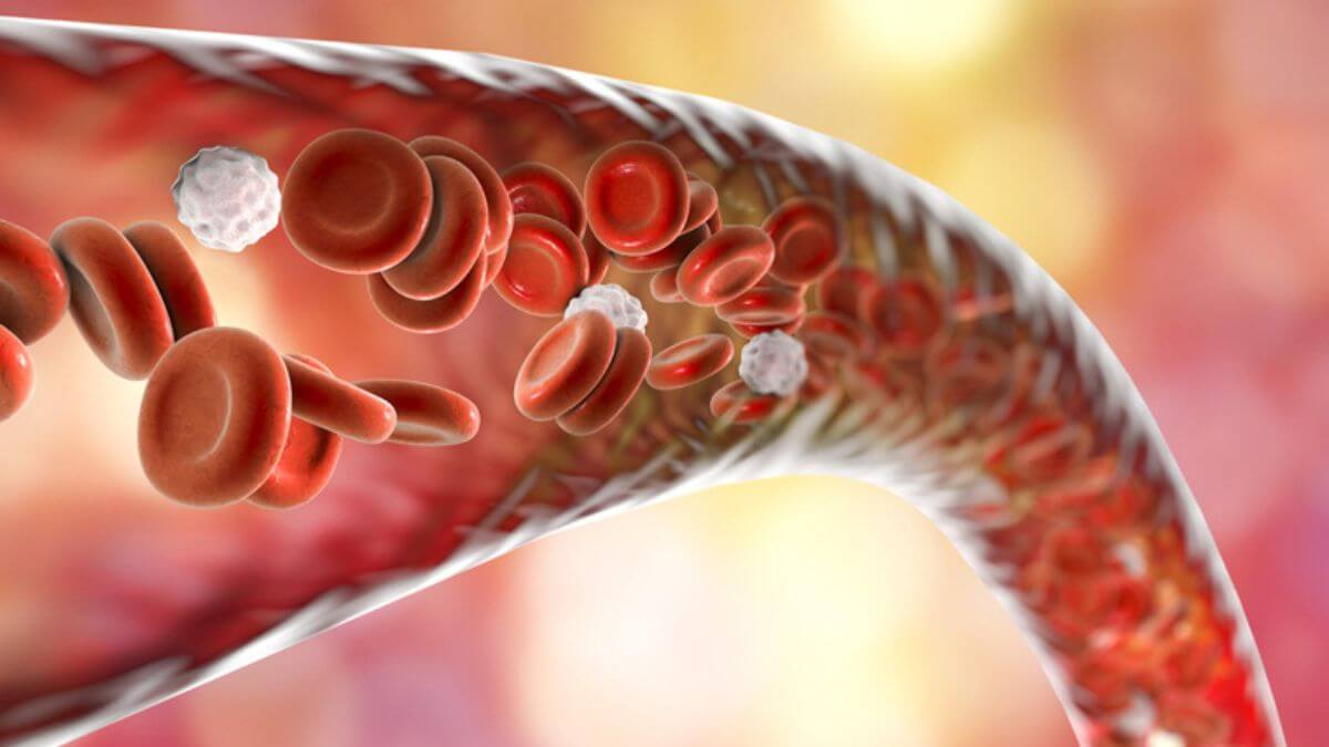 Rewriting our DNA: The potential of gene editing for blood disorders and beyond