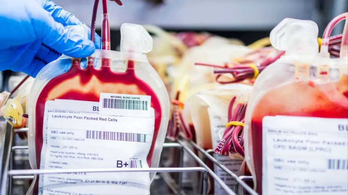 Bridging the gaps: Safe blood, lifesaving care, and a cure for sickle cell disease